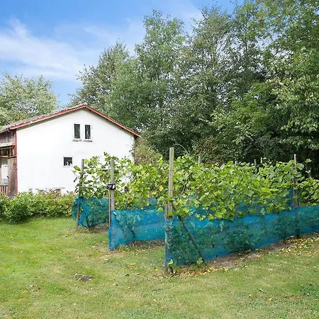 Βίλα Skovhuset *