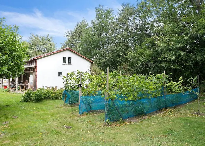 Βίλα Skovhuset *